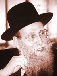 Rav Shlomo Brevda Kimcha D'Pischa 5784